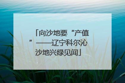 向沙地要“产值”——辽宁科尔沁沙地兴绿见闻