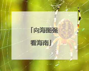 向海图强看海南
