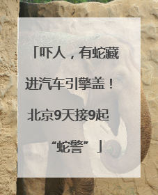 吓人，有蛇藏进汽车引擎盖！北京9天接9起“蛇警”