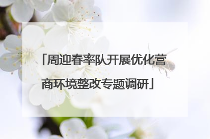 周迎春率队开展优化营商环境整改专题调研