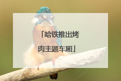 哈铁推出烤肉主题车厢