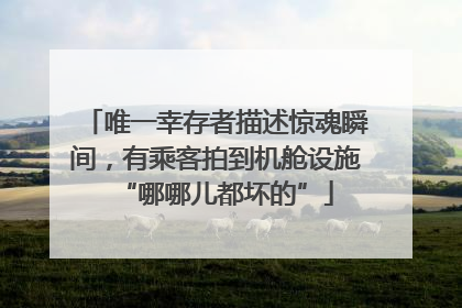 唯一幸存者描述惊魂瞬间，有乘客拍到机舱设施“哪哪儿都坏的”