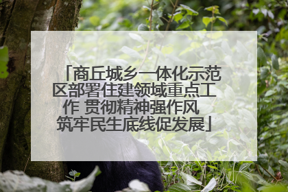 商丘城乡一体化示范区部署住建领域重点工作 贯彻精神强作风 筑牢民生底线促发展