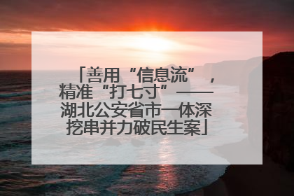 善用“信息流”，精准“打七寸”——湖北公安省市一体深挖串并力破民生案