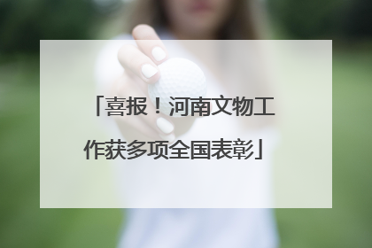 喜报！河南文物工作获多项全国表彰
