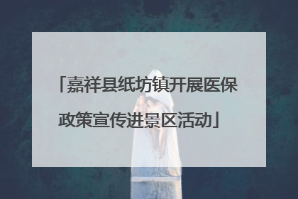 嘉祥县纸坊镇开展医保政策宣传进景区活动