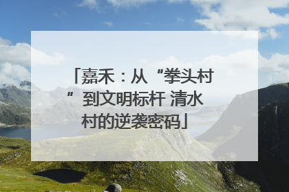 嘉禾：从“拳头村”到文明标杆 清水村的逆袭密码