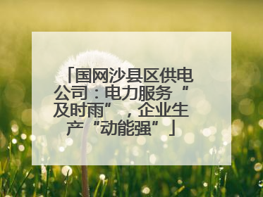 国网沙县区供电公司：电力服务“及时雨”，企业生产“动能强”
