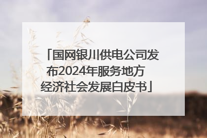 国网银川供电公司发布2024年服务地方经济社会发展白皮书
