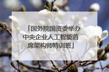 国务院国资委举办中央企业人工智能首席架构师特训班