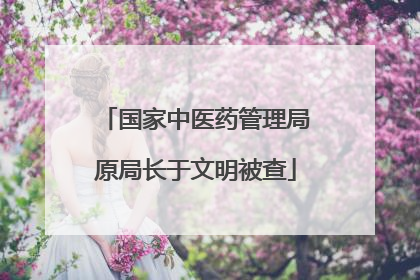 国家中医药管理局原局长于文明被查