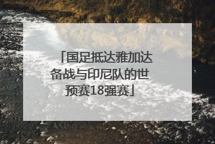 国足抵达雅加达备战与印尼队的世预赛18强赛