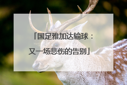 国足雅加达输球：又一场悲伤的告别