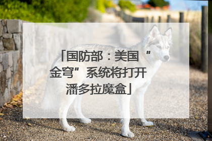 国防部：美国“金穹”系统将打开潘多拉魔盒