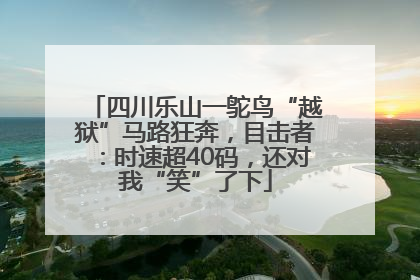 四川乐山一鸵鸟“越狱”马路狂奔，目击者：时速超40码，还对我“笑”了下
