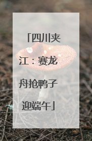 四川夹江：赛龙舟抢鸭子迎端午