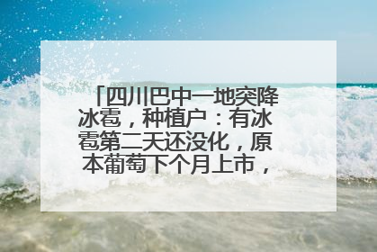 四川巴中一地突降冰雹，种植户：有冰雹第二天还没化，原本葡萄下个月上市，现在全被打落