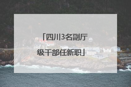 四川3名副厅级干部任新职