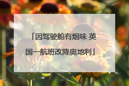 因驾驶舱有烟味 英国一航班改降奥地利
