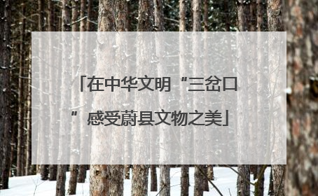 在中华文明“三岔口”感受蔚县文物之美