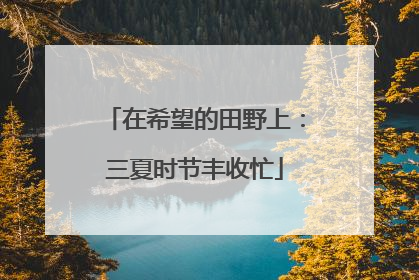 在希望的田野上：三夏时节丰收忙