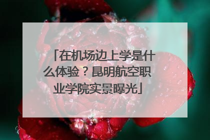 在机场边上学是什么体验？昆明航空职业学院实景曝光