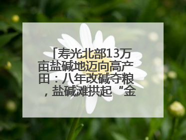 寿光北部13万亩盐碱地迈向高产田：八年改碱夺粮，盐碱滩拱起“金粮仓”