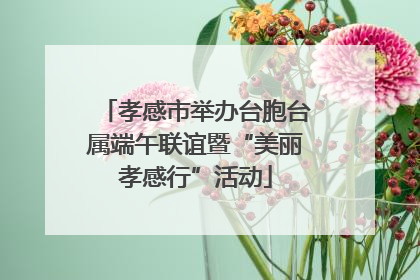 孝感市举办台胞台属端午联谊暨“美丽孝感行”活动