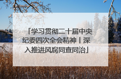 学习贯彻二十届中央纪委四次全会精神丨深入推进风腐同查同治