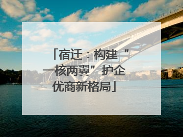 宿迁：构建“一核两翼”护企优商新格局