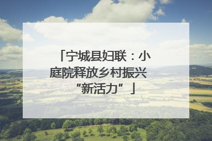 宁城县妇联：小庭院释放乡村振兴“新活力”