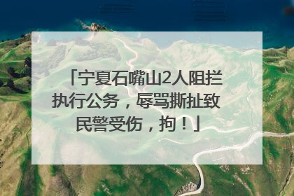 宁夏石嘴山2人阻拦执行公务，辱骂撕扯致民警受伤，拘！