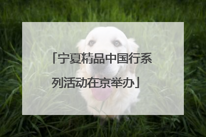 宁夏精品中国行系列活动在京举办