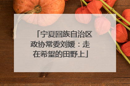 宁夏回族自治区政协常委刘媛：走在希望的田野上