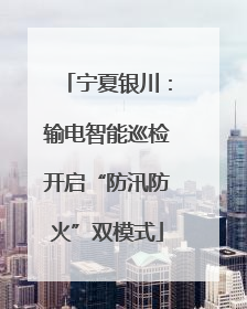宁夏银川：输电智能巡检开启“防汛防火”双模式