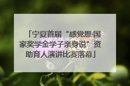 宁夏首届“感党恩·国家奖学金学子亲身说”资助育人演讲比赛落幕