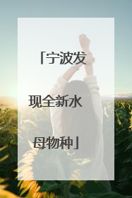 宁波发现全新水母物种