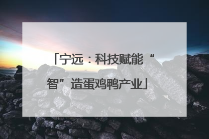 宁远：科技赋能“智”造蛋鸡鸭产业