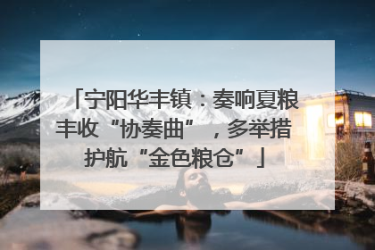 宁阳华丰镇：奏响夏粮丰收“协奏曲”，多举措护航“金色粮仓”