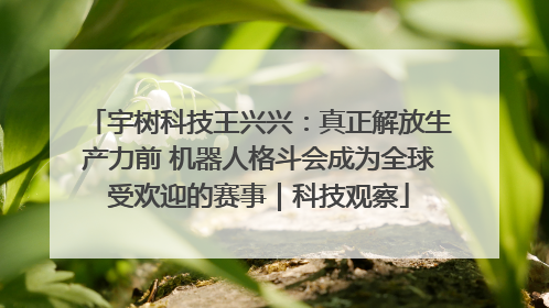 宇树科技王兴兴：真正解放生产力前 机器人格斗会成为全球受欢迎的赛事｜科技观察