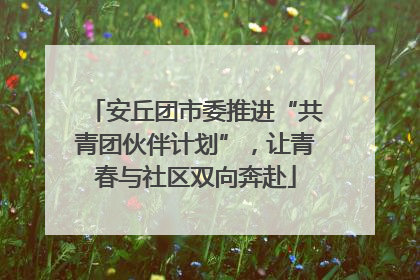 安丘团市委推进“共青团伙伴计划”，让青春与社区双向奔赴