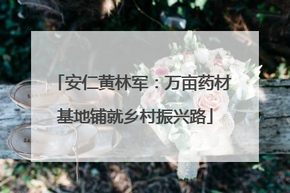 安仁黄林军：万亩药材基地铺就乡村振兴路