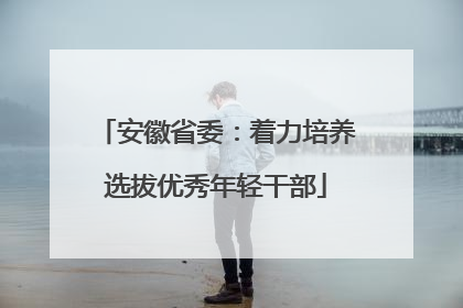 安徽省委：着力培养选拔优秀年轻干部