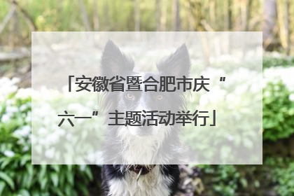 安徽省暨合肥市庆“六一”主题活动举行