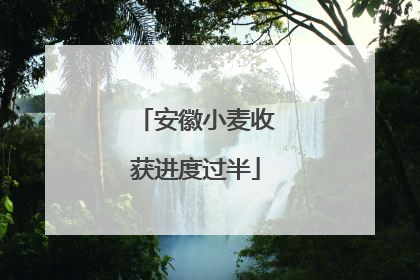 安徽小麦收获进度过半
