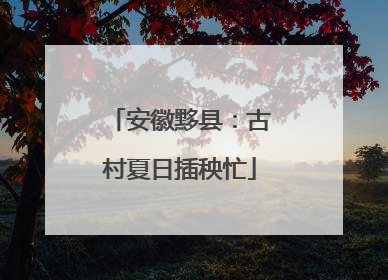 安徽黟县：古村夏日插秧忙