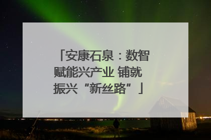 安康石泉：数智赋能兴产业 铺就振兴“新丝路”