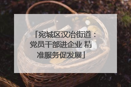 宛城区汉冶街道：党员干部进企业 精准服务促发展