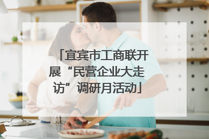 宜宾市工商联开展“民营企业大走访”调研月活动
