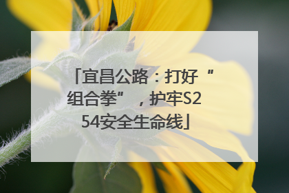 宜昌公路：打好“组合拳”，护牢S254安全生命线